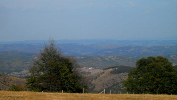 Zlatibor 1