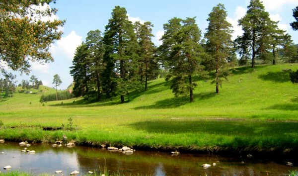 zlatibor