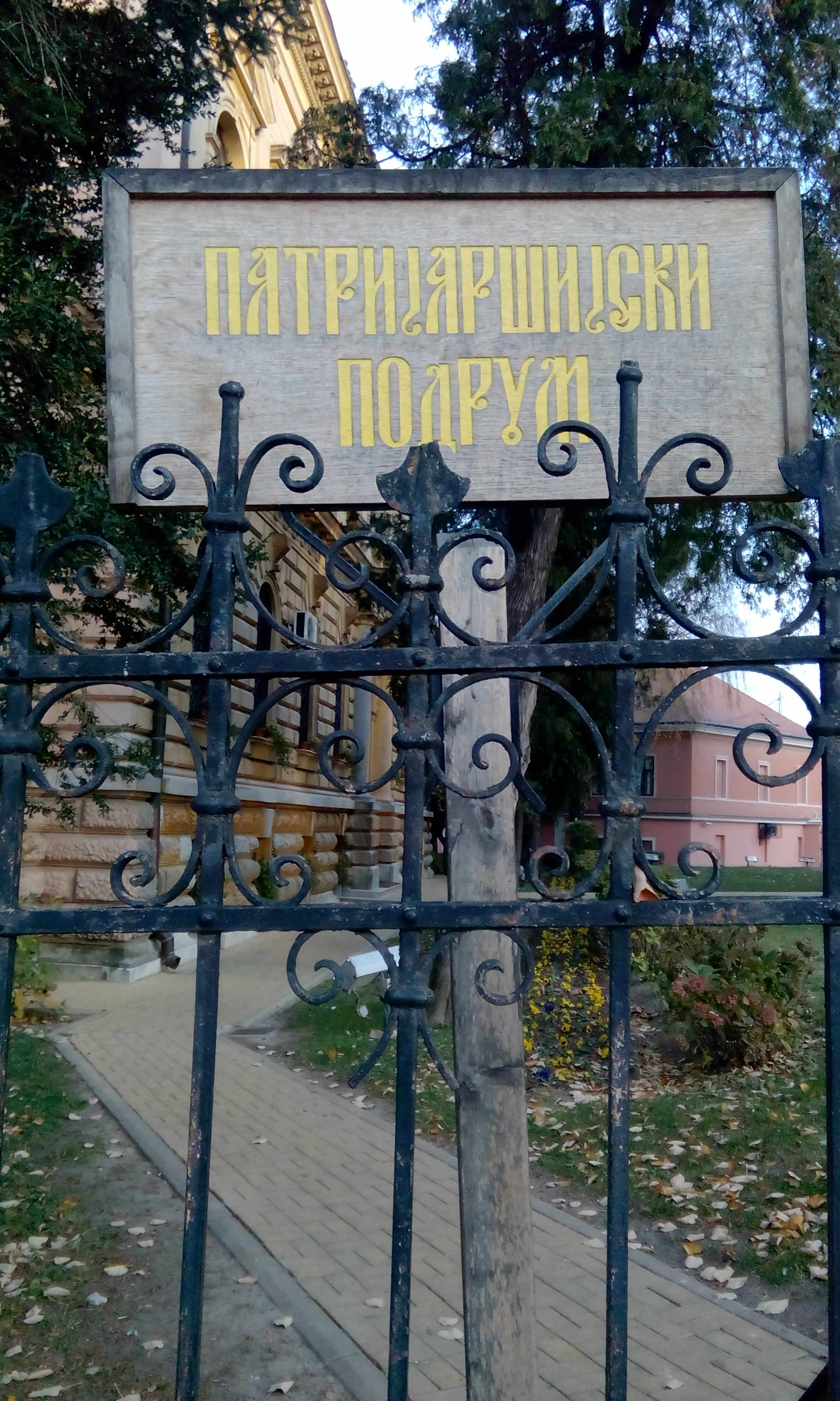 IMG_20151114_152323_1