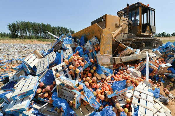 A worker uses a bulldozer to crush crates of peaches outside the city of Novozybkov, about 600 km from Moscow, on August 7, 2015. Russian officials on August 6 steamrollered tonnes of cheese as they began a  controversial drive to destroy Western food smuggled into the crisis-hit country despite a public outcry. President Vladimir Putin last week signed a decree ordering the trashing of all food -- from gourmet cheeses to fruit and vegetables -- that breaches a year-old embargo on Western imports imposed in retaliation to sanctions over the Ukraine crisis. AFP PHOTO / ONLINER.BY