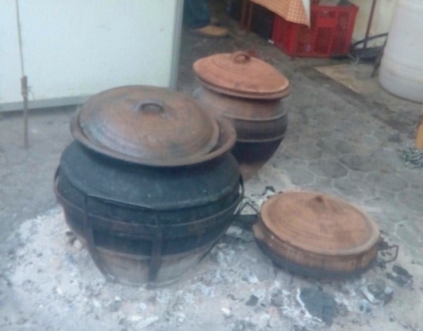 Slaninijada, Vojvodina